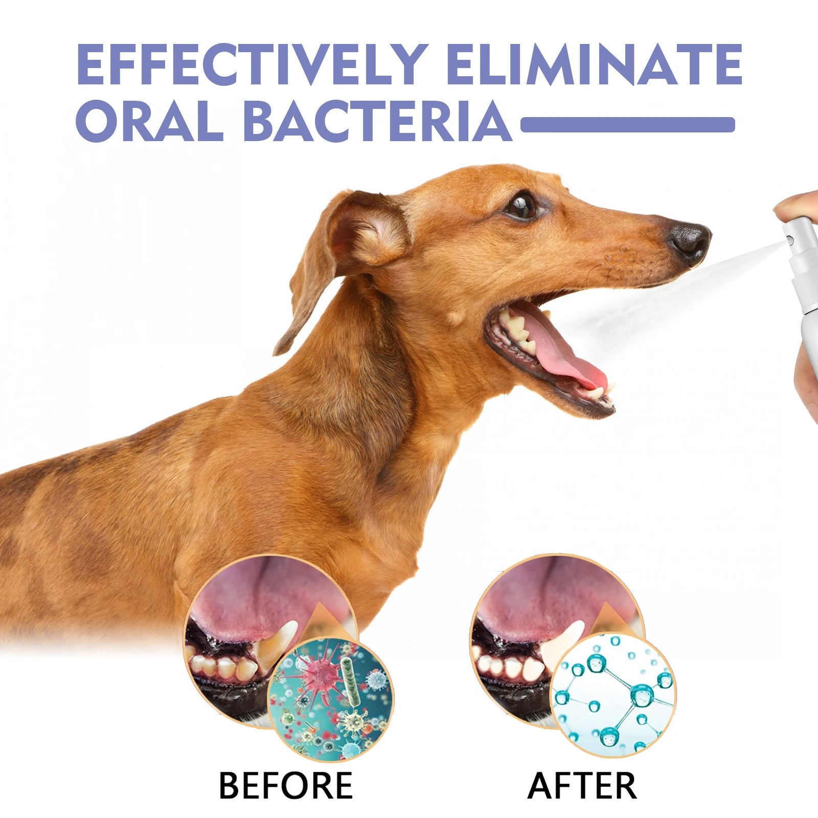 Pet Dental Spray for Dogs and Cats 