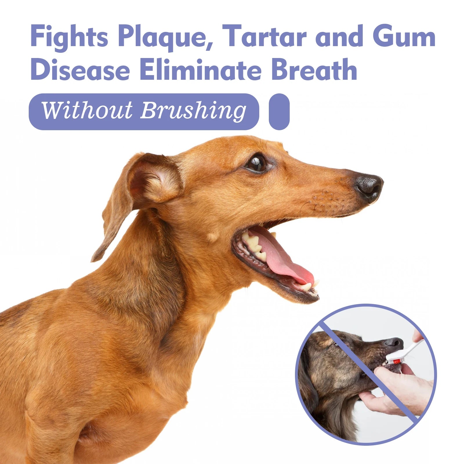 Pet Dental Spray for Dogs and Cats 