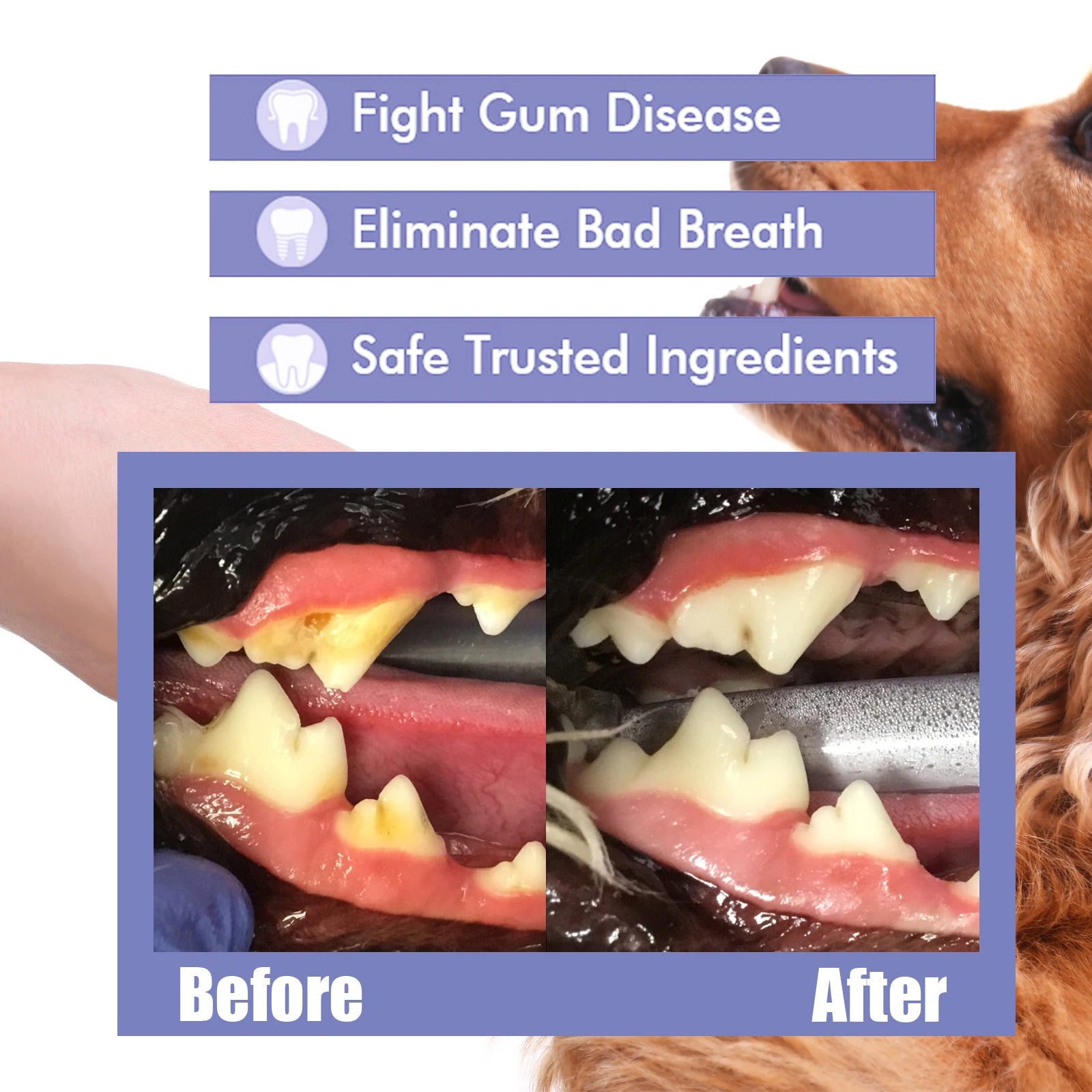 Pet Dental Spray for Dogs and Cats 